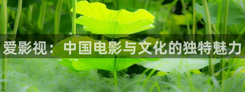 蓝莓视频怎么下载：爱影视：中国电影与文化的独特魅力