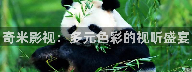 蓝莓视频下载免费观看：奇米影视：多元色彩的视听盛宴