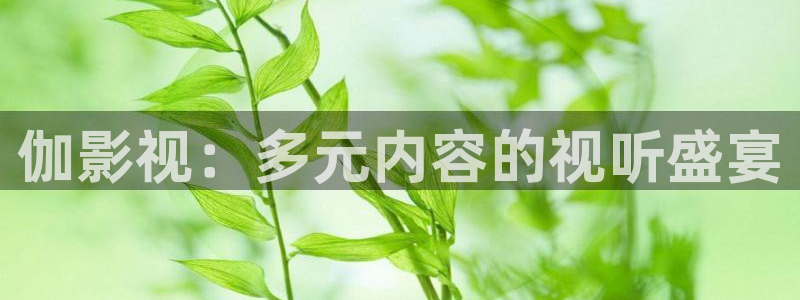 蓝莓科普视频：伽影视：多元内容的视听盛宴