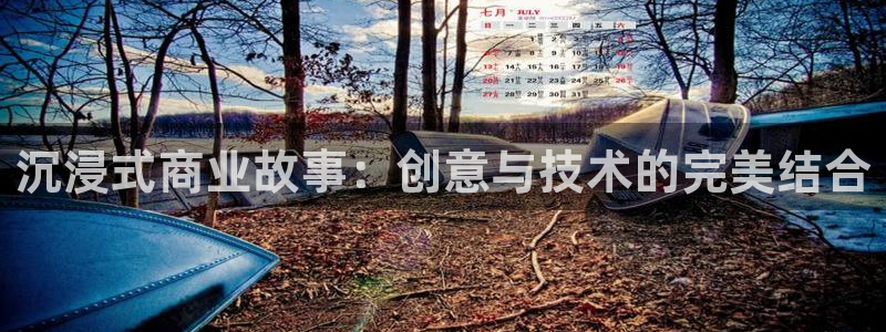 蓝莓视频+app：沉浸式商业故事：创意与技术的完美结合