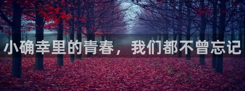 进去里蓝莓视频在线：小确幸里的青春，我们都不曾忘记