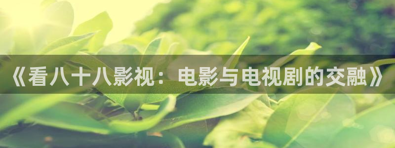 蓝莓视频免费网站：《看八十八影视：电影与电视剧的交融》