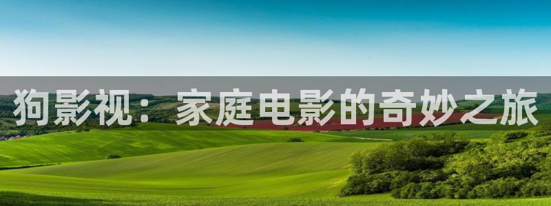蓝莓视频免费：狗影视：家庭电影的奇妙之旅