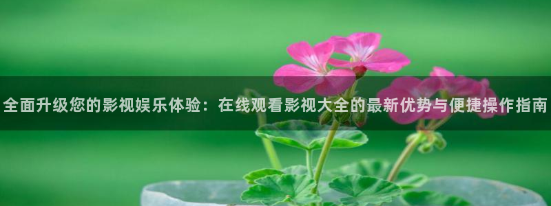 蓝莓视频tv：全面升级您的影视娱乐体验：在线观看影视大全的最新优势与便捷操作指南
