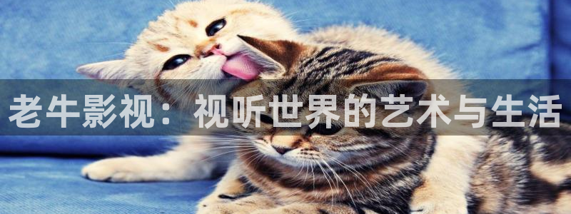 蓝莓短视频下载：老牛影视：视听世界的艺术与生活