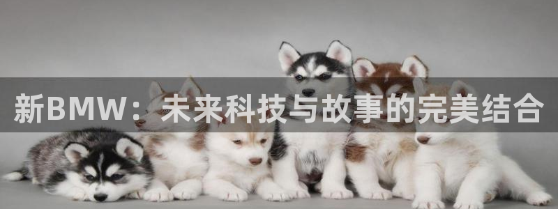 蓝莓视频网站在线观看：新BMW：未来科技与故事的完美结合